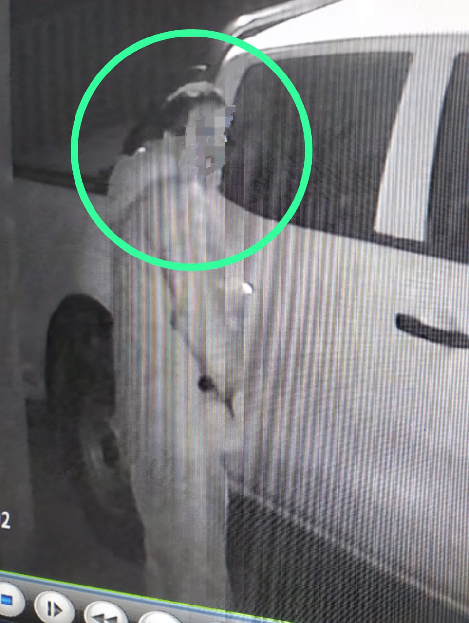 Eldorado: Delincuente con más de 20 causas salió en libertad, volvió a robar y lo detuvieron  3